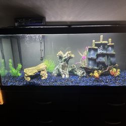 75 Gal Tank 