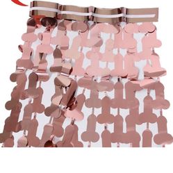 Bachelorette Decoration 