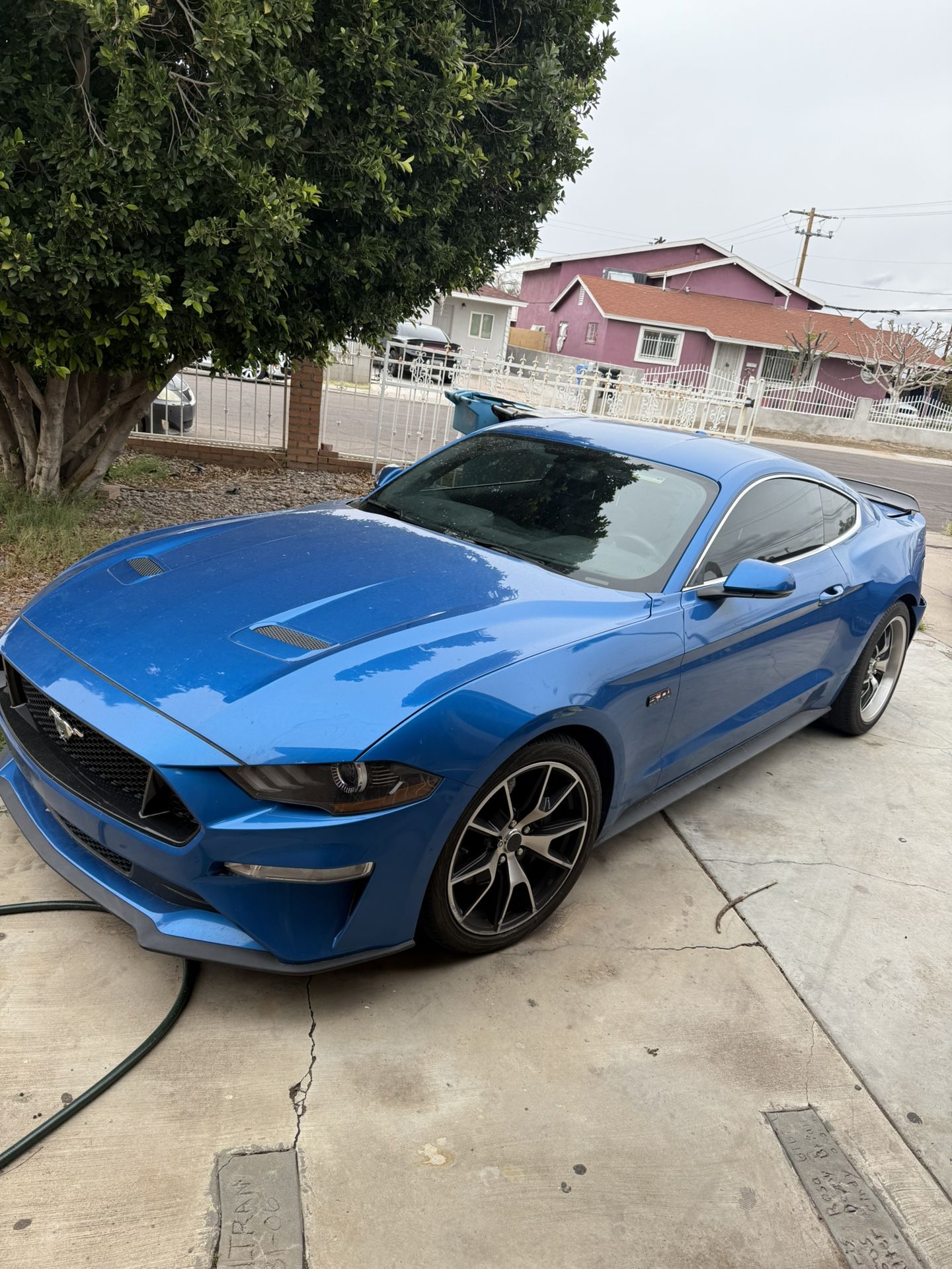 2019 Ford Mustang