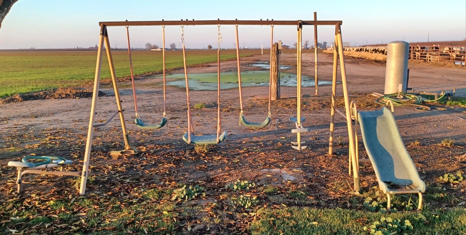 Swing Set