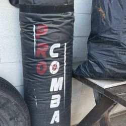 Boxing Bag 