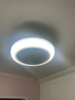 Ceiling Fans W/ Light