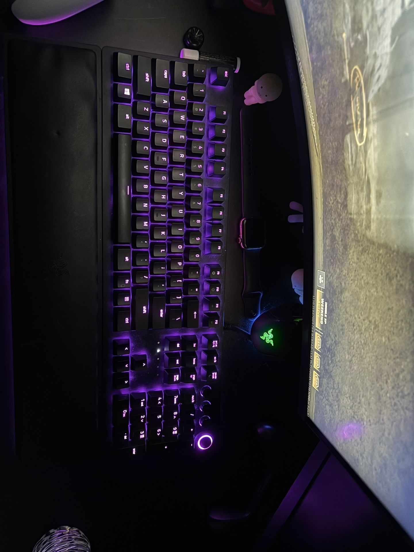 Razer huntsman pro