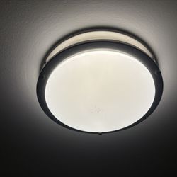 12” LED Light With Light Color Change Option