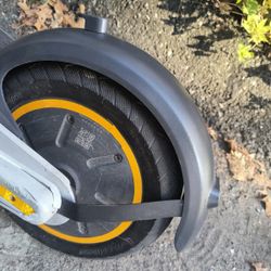 Ninebot G30 Ip