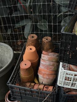 Clay pots