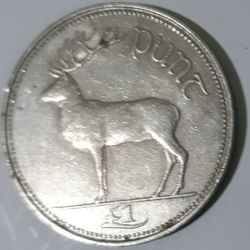 IRISH POUND 1 Punt Coin LARGEST ever Made