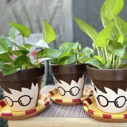 Harry Potter Party Centerpiece Garden Flower Pots