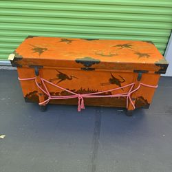 Beautiful Asian Trunk