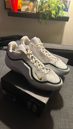 Nike Lebron Chosen 1’s ( St.Vincent St.Mary edition)