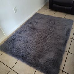 Grey Area Rug