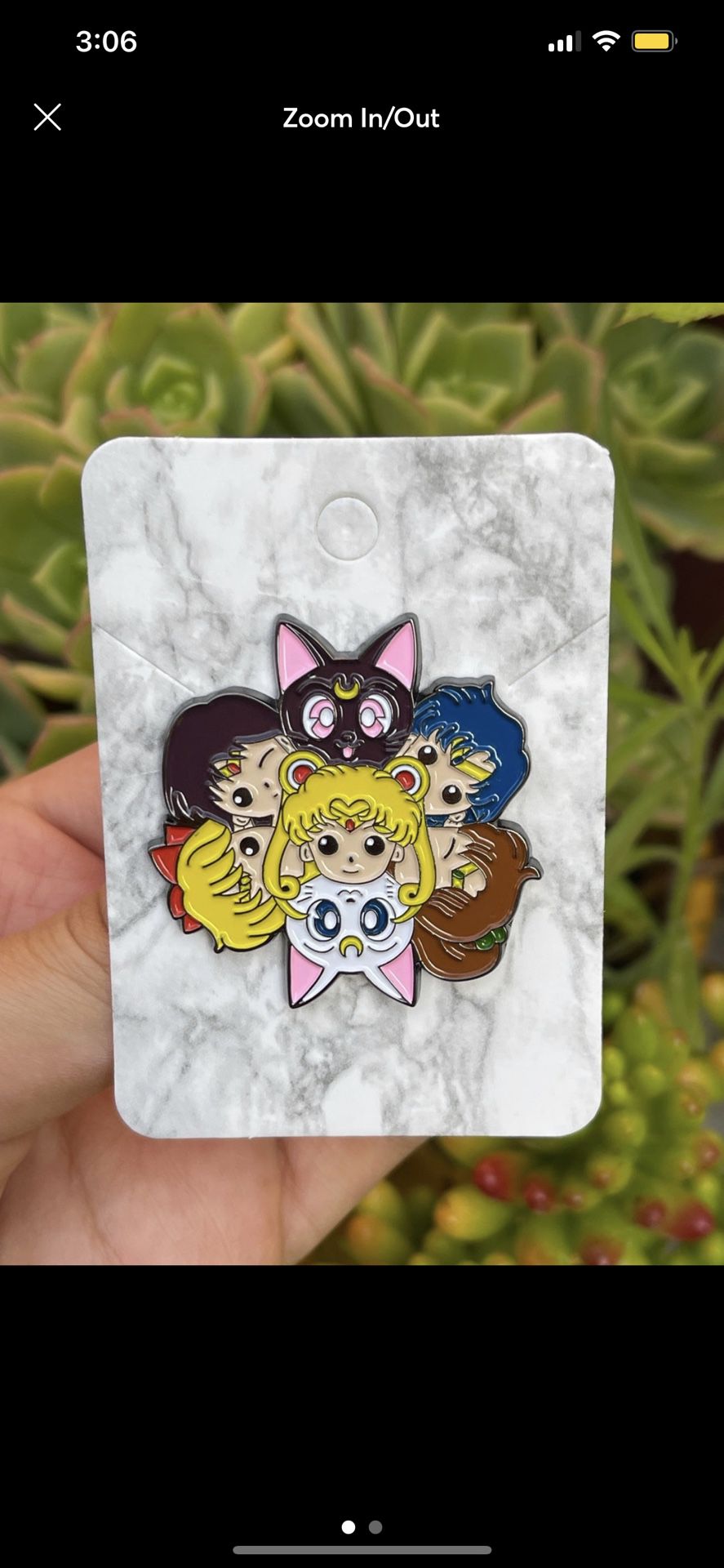 Sailor Moon & Friends Pin
