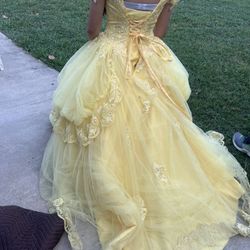 Quinceañera Dress 
