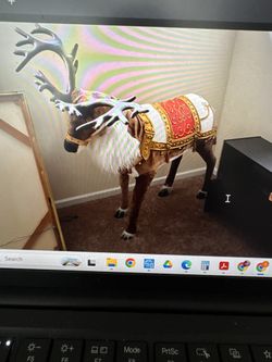 Reindeer For Sale!