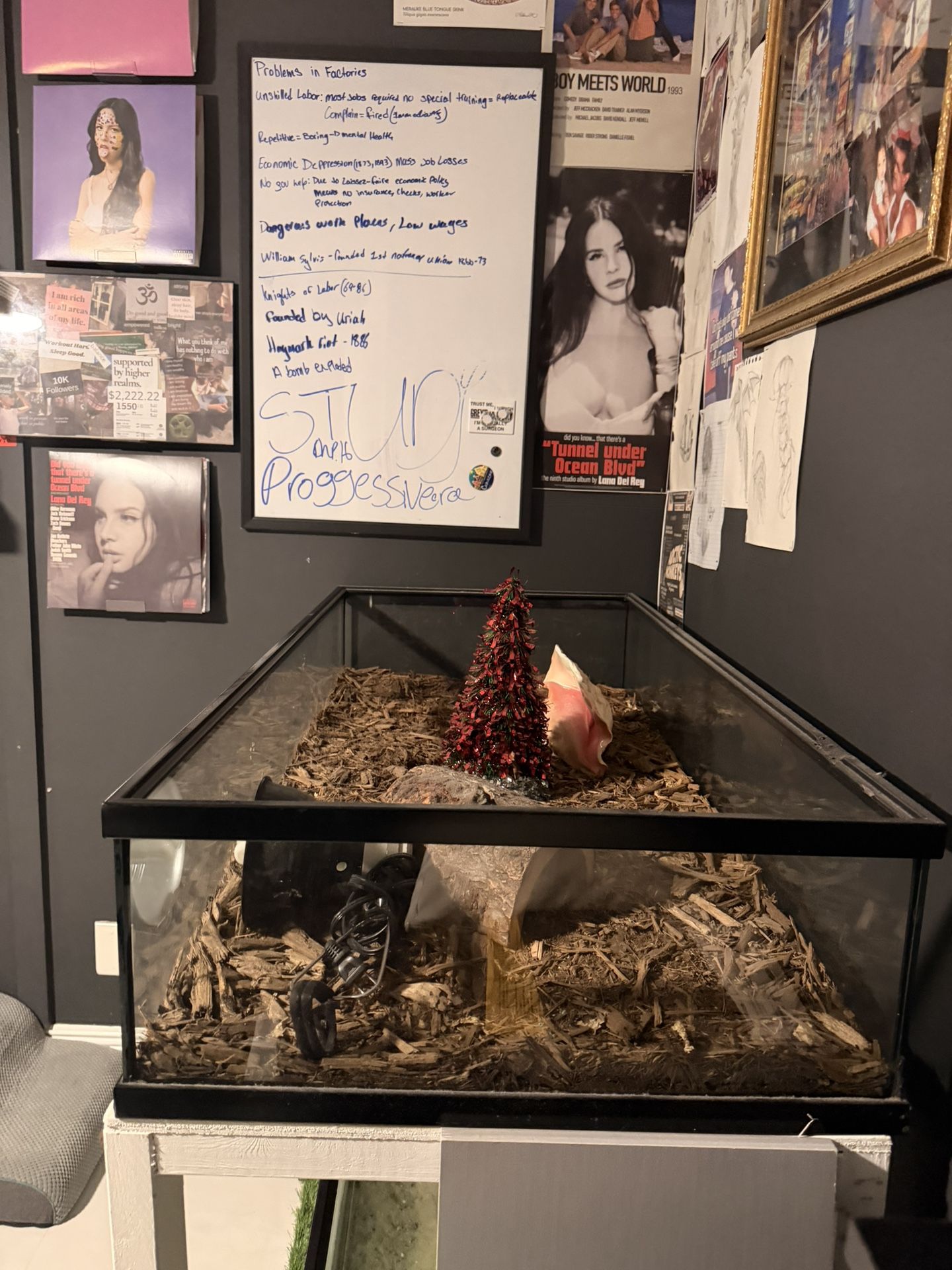 150 Gallon Shallow Tank