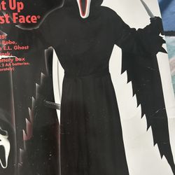 Kids Ghostface Light Up Mask Halloween Costume 
