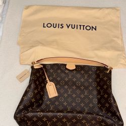 Louis Vuitton Authentic Bag 100%