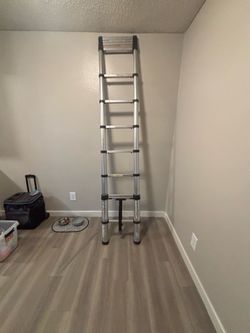 12ft telescoping extension ladder