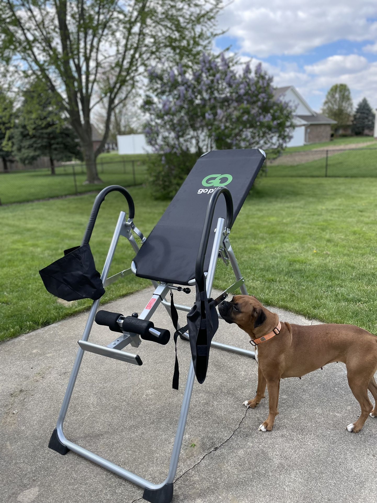 Go Plus Inversion Table