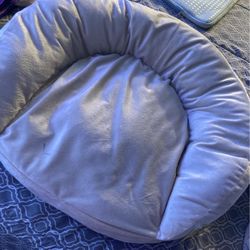 Pet Bed 