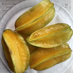 Star Fruit Plant For Sale 
