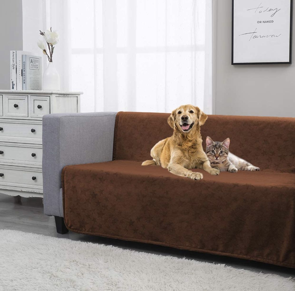 Dog Blanket Couch And Bed Protector From Pets 