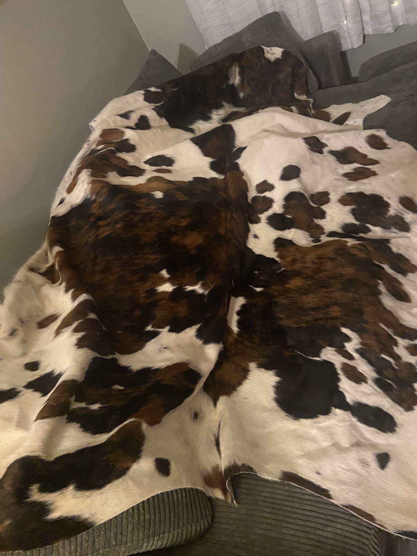 X Large Cow Hide Rug