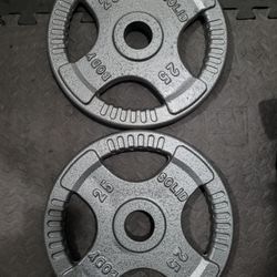  Body Solid  25lbs Weights 