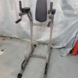 XMARK Captain's Chair Fitness Station