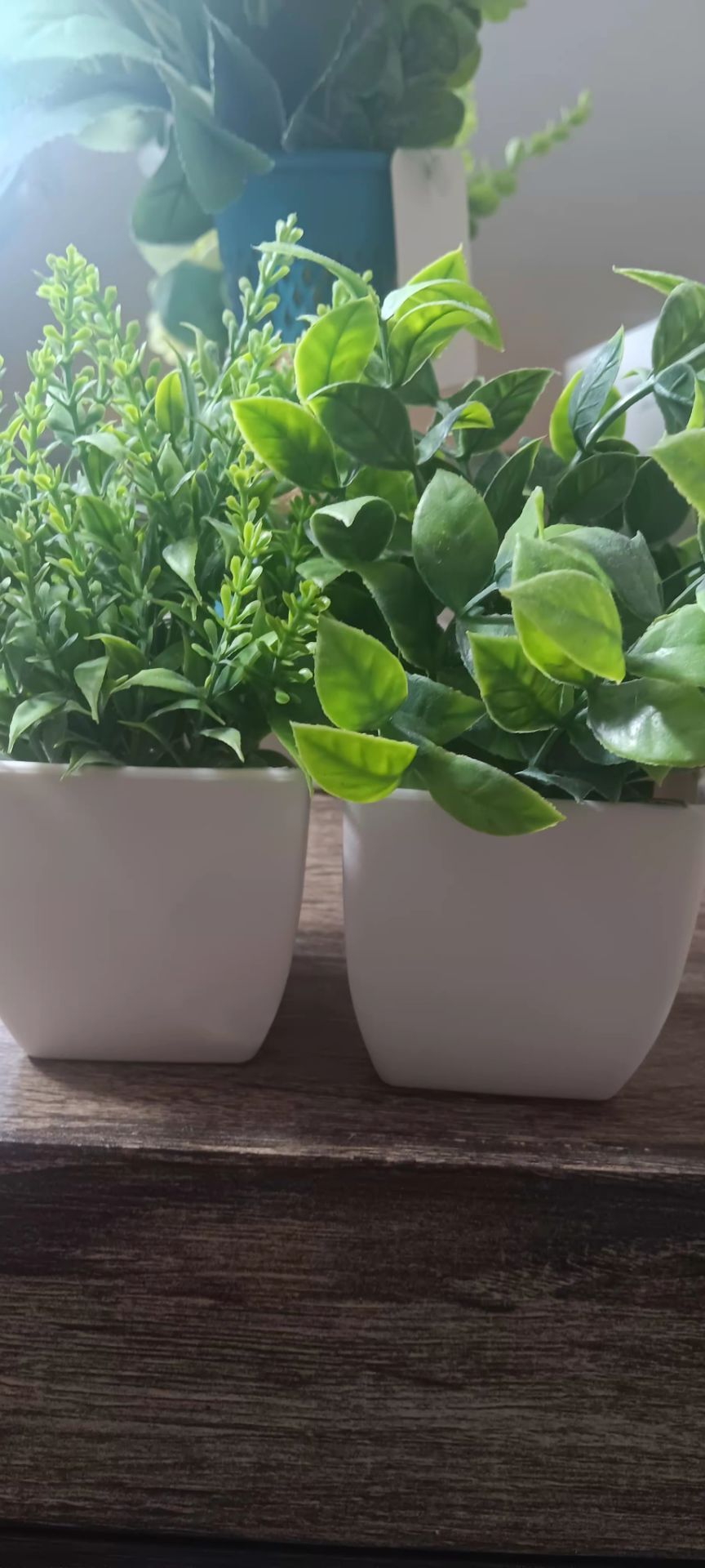 New 2 artificial mini plants