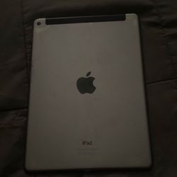 iPad 
