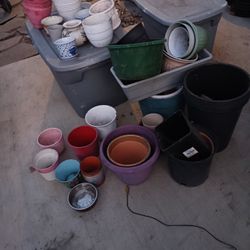 Pots For Plants 15.00 For All Need Gone Asp