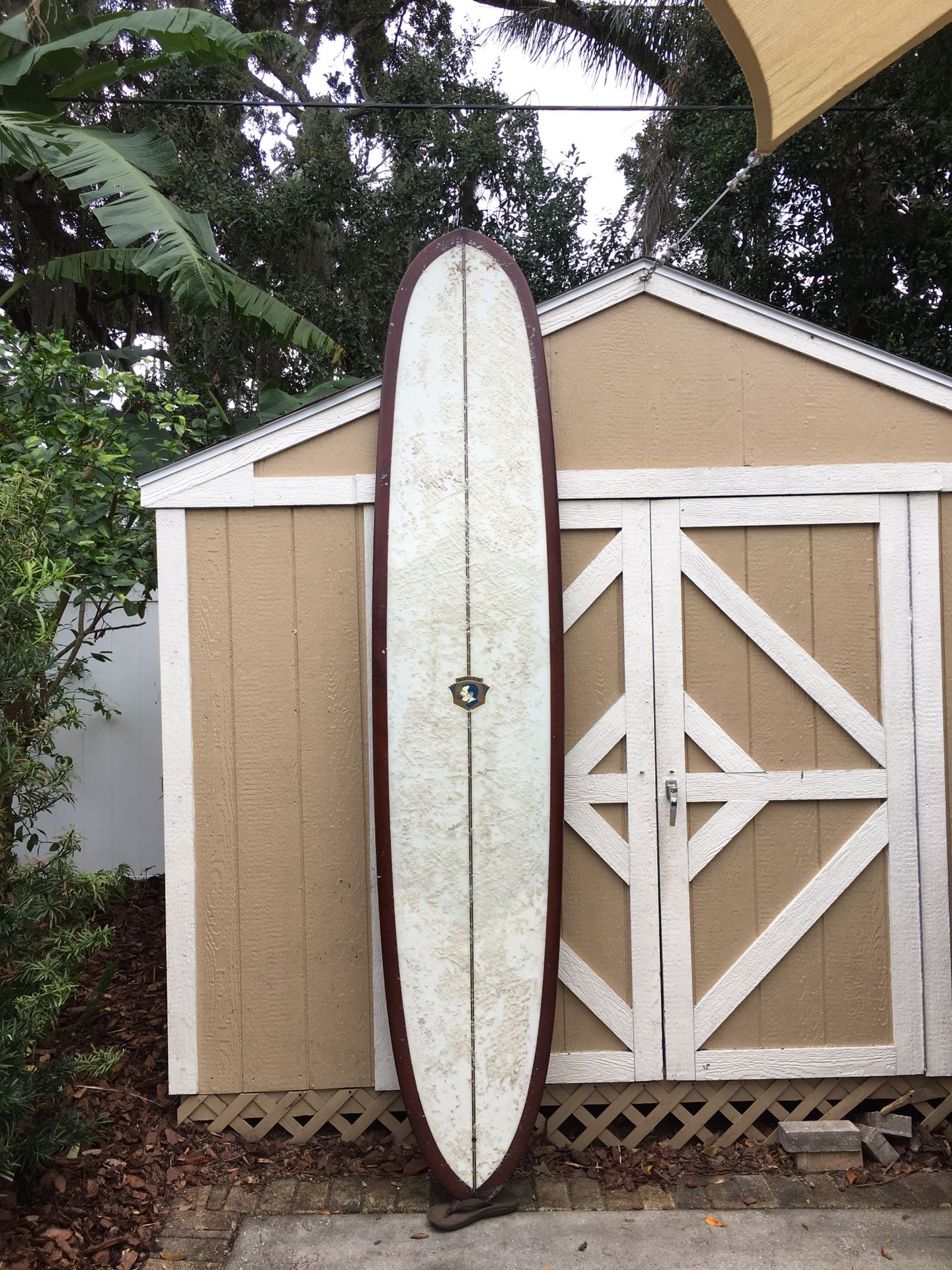 9’6” long surfboard Pintail