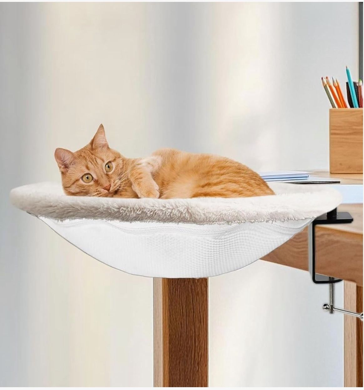 😺Cat Desk Bed😺