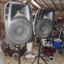 2Professional Edison 15in Built In Amp On Stand