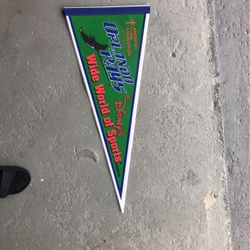 Orlando Rays At Disney Pennant