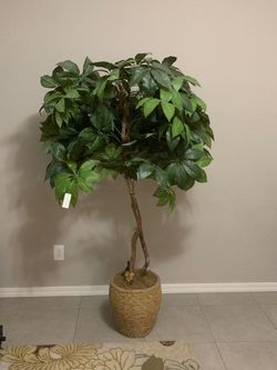 Plastic plant