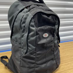 Vitorinox Medium Padded Daypack.