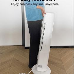 Air Cooler