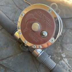 Pen, rod and reel