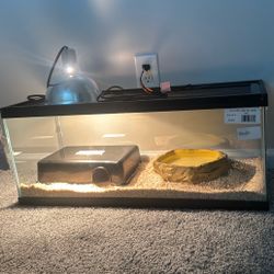 20 Gallon Snake Tank
