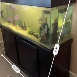 Beautiful Aquarium  All Accessories Included