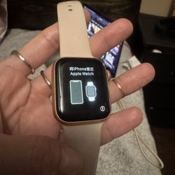 Pink 42mm Series 5 Watch 