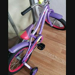 Toddler Bike Schwinn