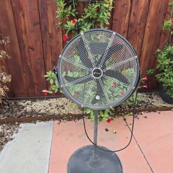 Commercial 24 Inch Pedestal Fan
