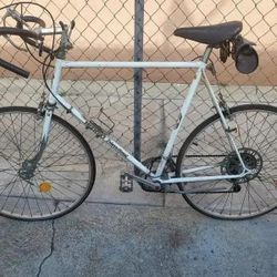 Nishiki International Bicycle Bike