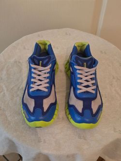 Youth Reebok Zigs