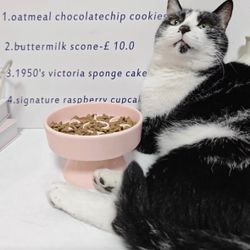 Cute Ceramic Slow Feeder Bowl for Cats – Elevated Design 