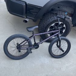 Austin Augie SIGNATURE SERIES Fitbikeco