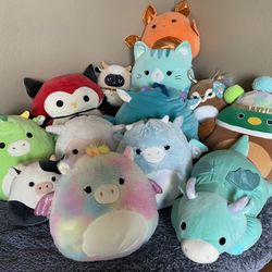 Squishmallow Collection 